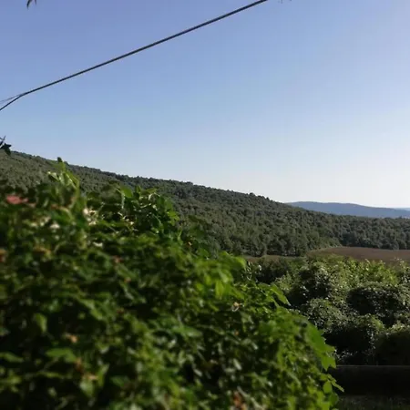 Scenic In Casole D Elsa With Pool Apartment