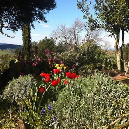 Scenic In Casole D Elsa With Pool