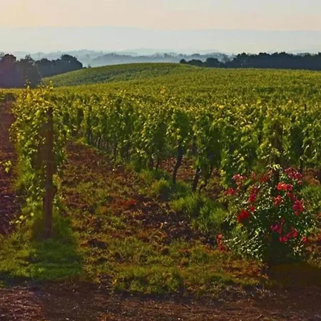 Апартаменты Scenic In With Pool *