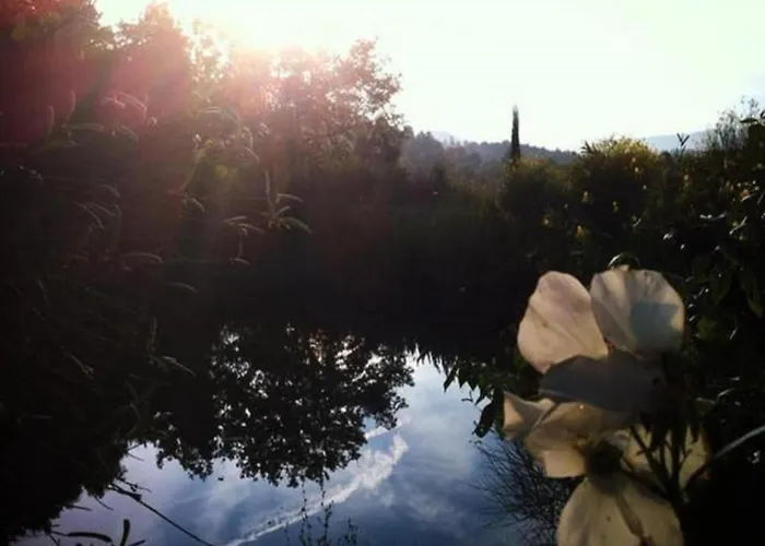 Scenic In With Pool Apartment