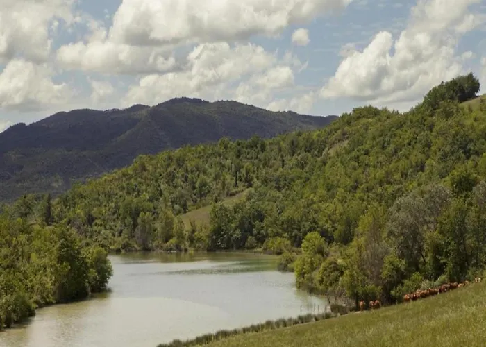 Scenic In With Pool Apartment Casole dʼElsa